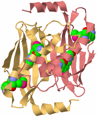 Image Biological Unit 4