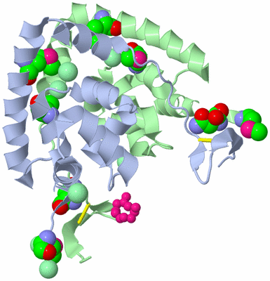 Image Biological Unit 1