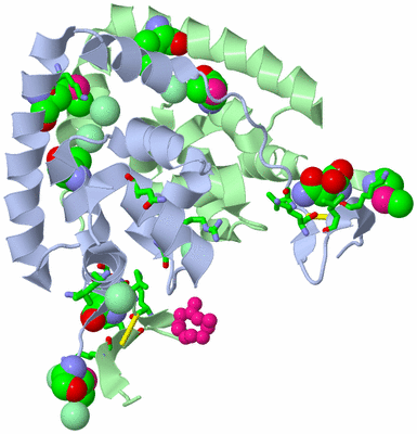 Image Biol. Unit 1 - sites