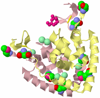 Image Biological Unit 2