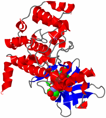 Image Asym./Biol. Unit - sites