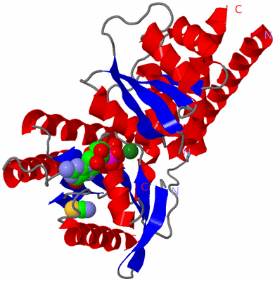 Image Asym./Biol. Unit