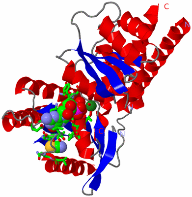 Image Asym./Biol. Unit - sites