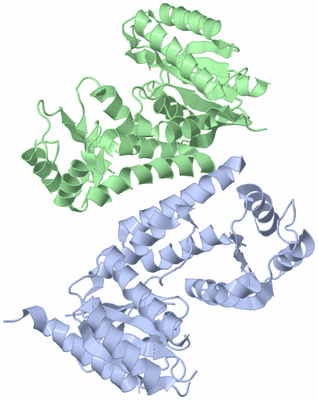 Image Asym./Biol. Unit