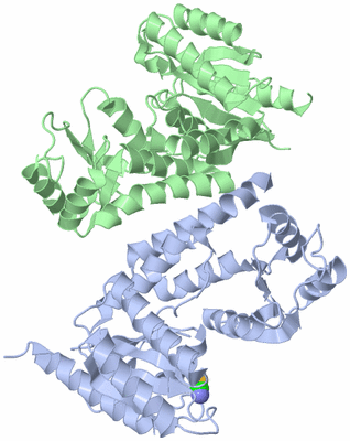 Image Asym./Biol. Unit