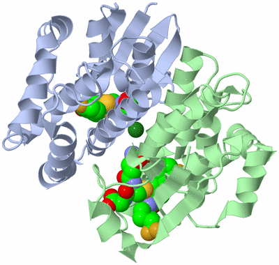 Image Asym./Biol. Unit