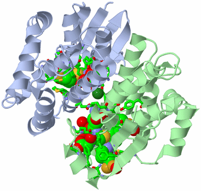 Image Asym./Biol. Unit - sites