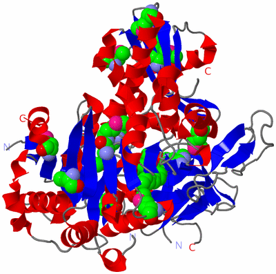 Image Asym./Biol. Unit