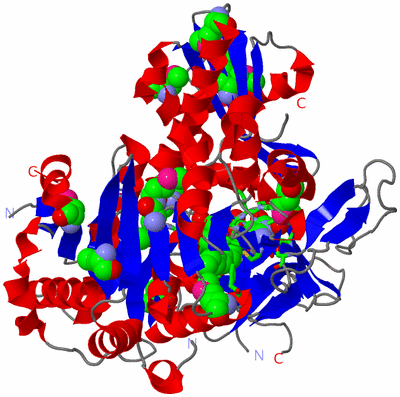 Image Asym./Biol. Unit - sites