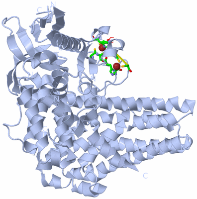 Image Biol. Unit 1 - sites