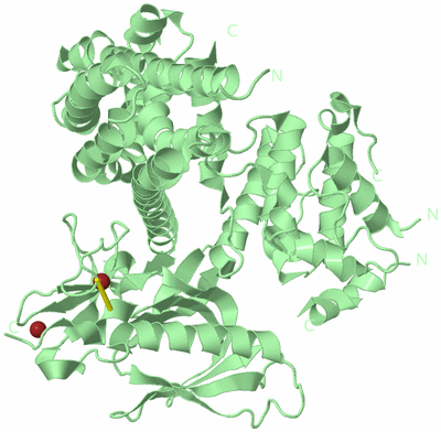 Image Biological Unit 2