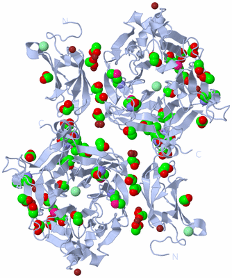 Image Biological Unit 1