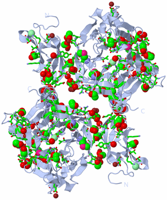 Image Biol. Unit 1 - sites