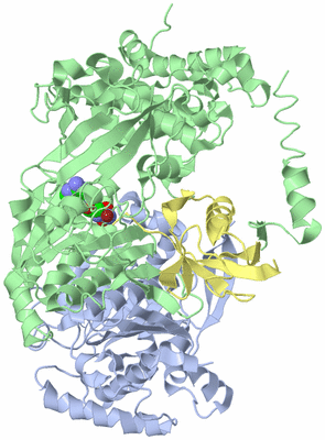 Image Asym./Biol. Unit