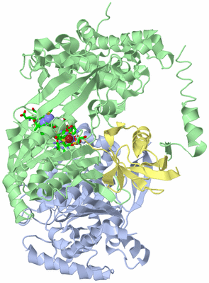 Image Asym./Biol. Unit - sites