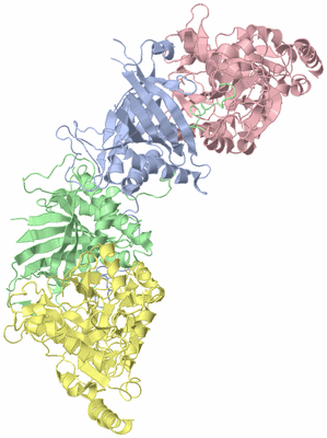 Image Asym./Biol. Unit