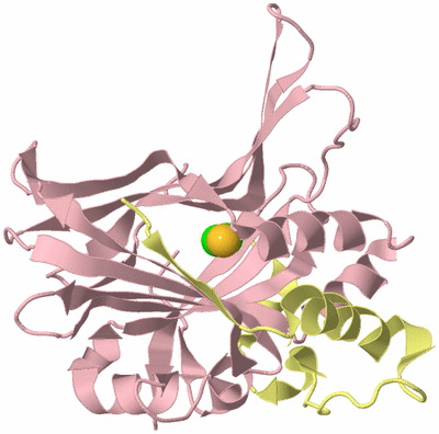 Image Biological Unit 2