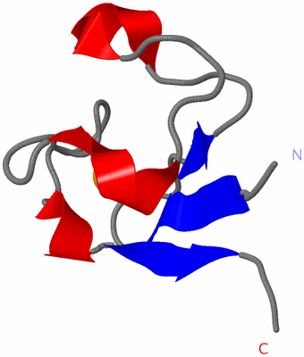 Image Asymmetric Unit