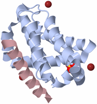 Image Biological Unit 1