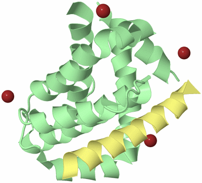 Image Biological Unit 2