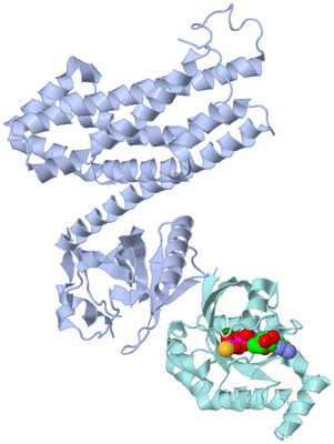 Image Biological Unit 1