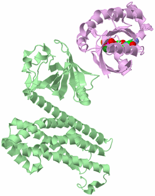 Image Biological Unit 2