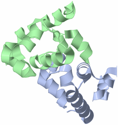 Image Asymmetric Unit