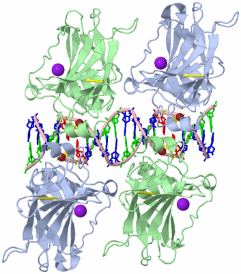 Image Biological Unit 1