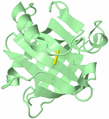 Image Biological Unit 3