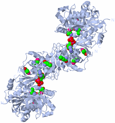 Image Biological Unit 1