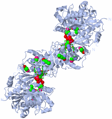 Image Biol. Unit 1 - sites