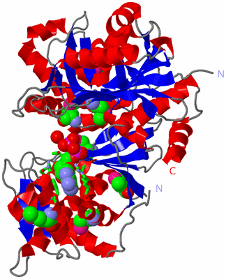 Image Asym. Unit - sites