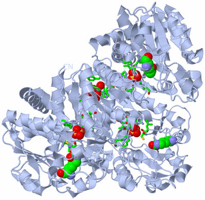 Image Biol. Unit 1 - sites