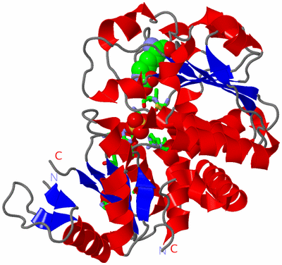 Image Asym. Unit - sites