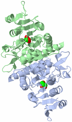 Image Biological Unit 1