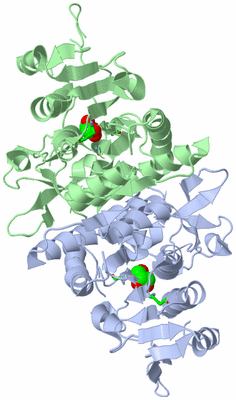 Image Biol. Unit 1 - sites