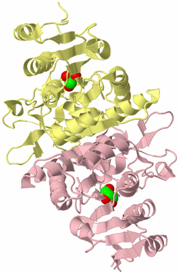 Image Biological Unit 2