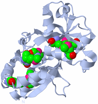 Image Biological Unit 2