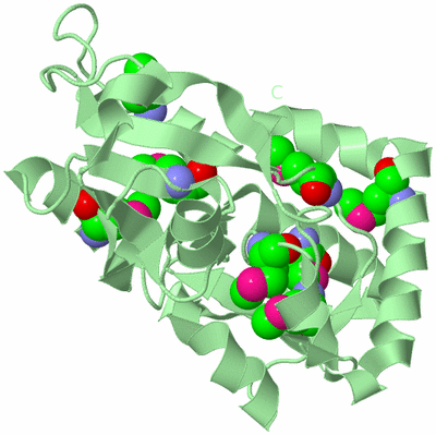 Image Biological Unit 3