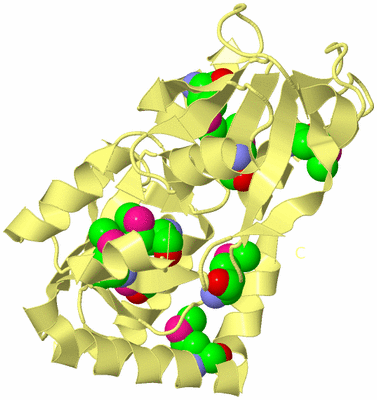 Image Biological Unit 5