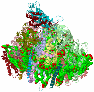 Image Asym./Biol. Unit