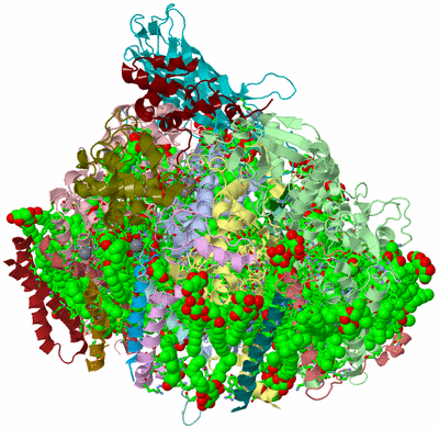 Image Asym./Biol. Unit - sites