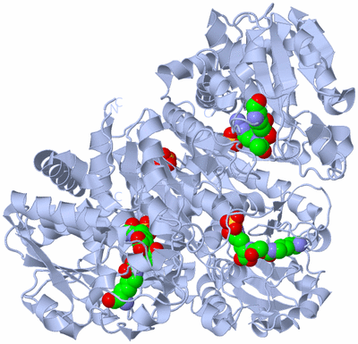 Image Biological Unit 1