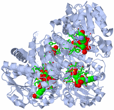 Image Biol. Unit 1 - sites