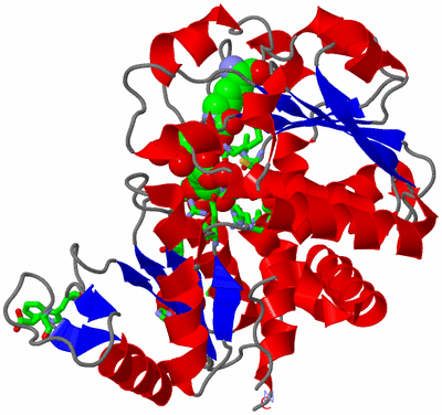 Image Asym. Unit - sites