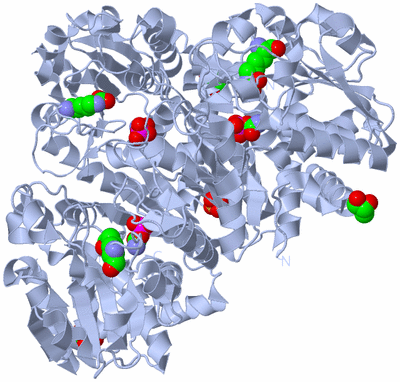 Image Biological Unit 1