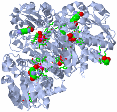 Image Biol. Unit 1 - sites