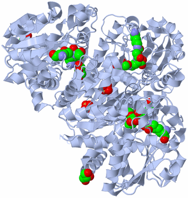 Image Biological Unit 1