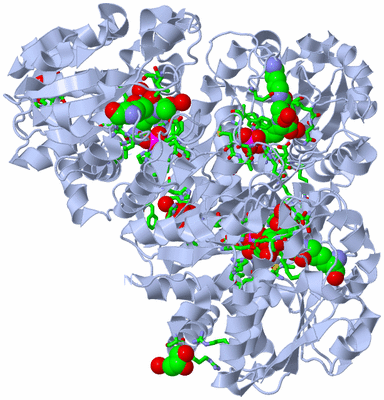 Image Biol. Unit 1 - sites