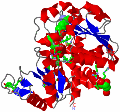 Image Asym. Unit - sites